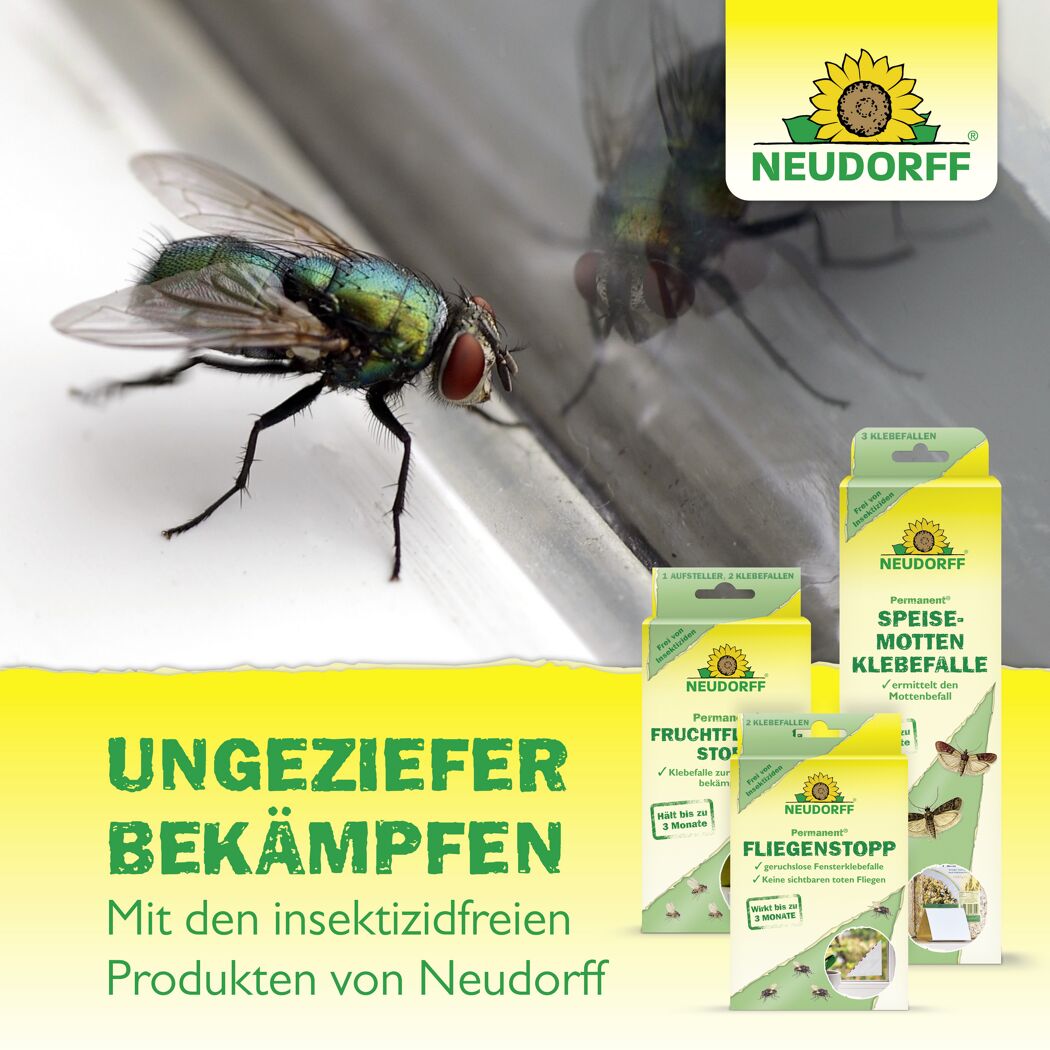 Permanent Fliegenstopp 4 Stück