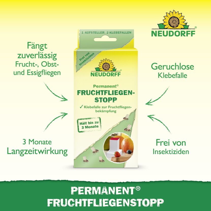 Permanent Fruchtfliegenstopp 2 Stück
