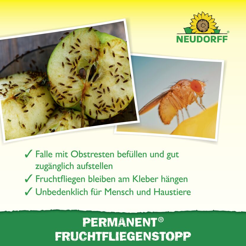 Permanent Fruchtfliegenstopp 2 Stück