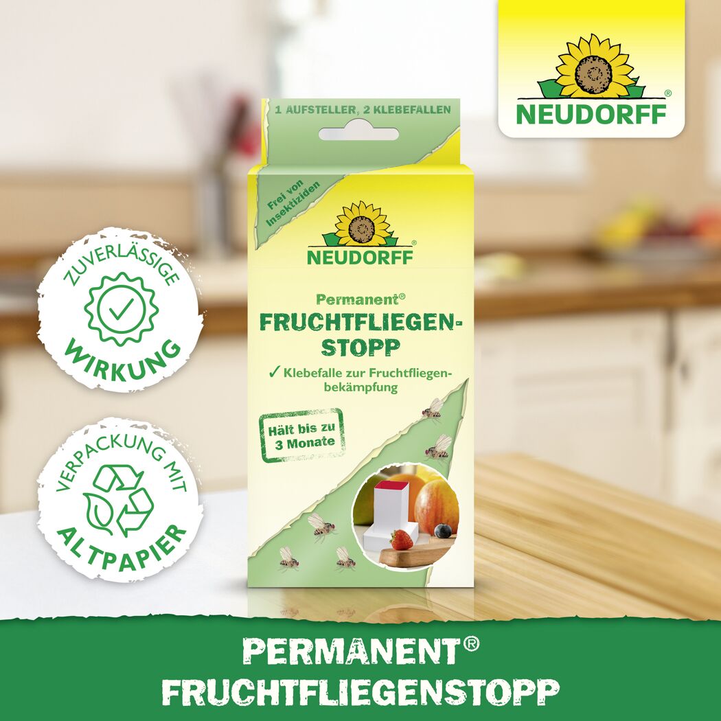 Permanent Fruchtfliegenstopp 2 Stück