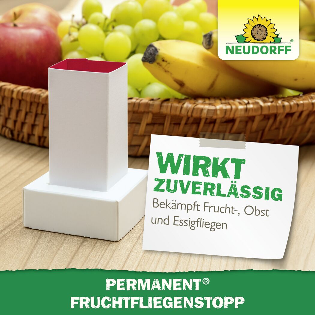 Permanent Fruchtfliegenstopp 2 Stück
