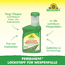 Permanent Lockstoff Wespenfalle 250 ml