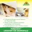 Permanent Lockstoff Wespenfalle 250 ml