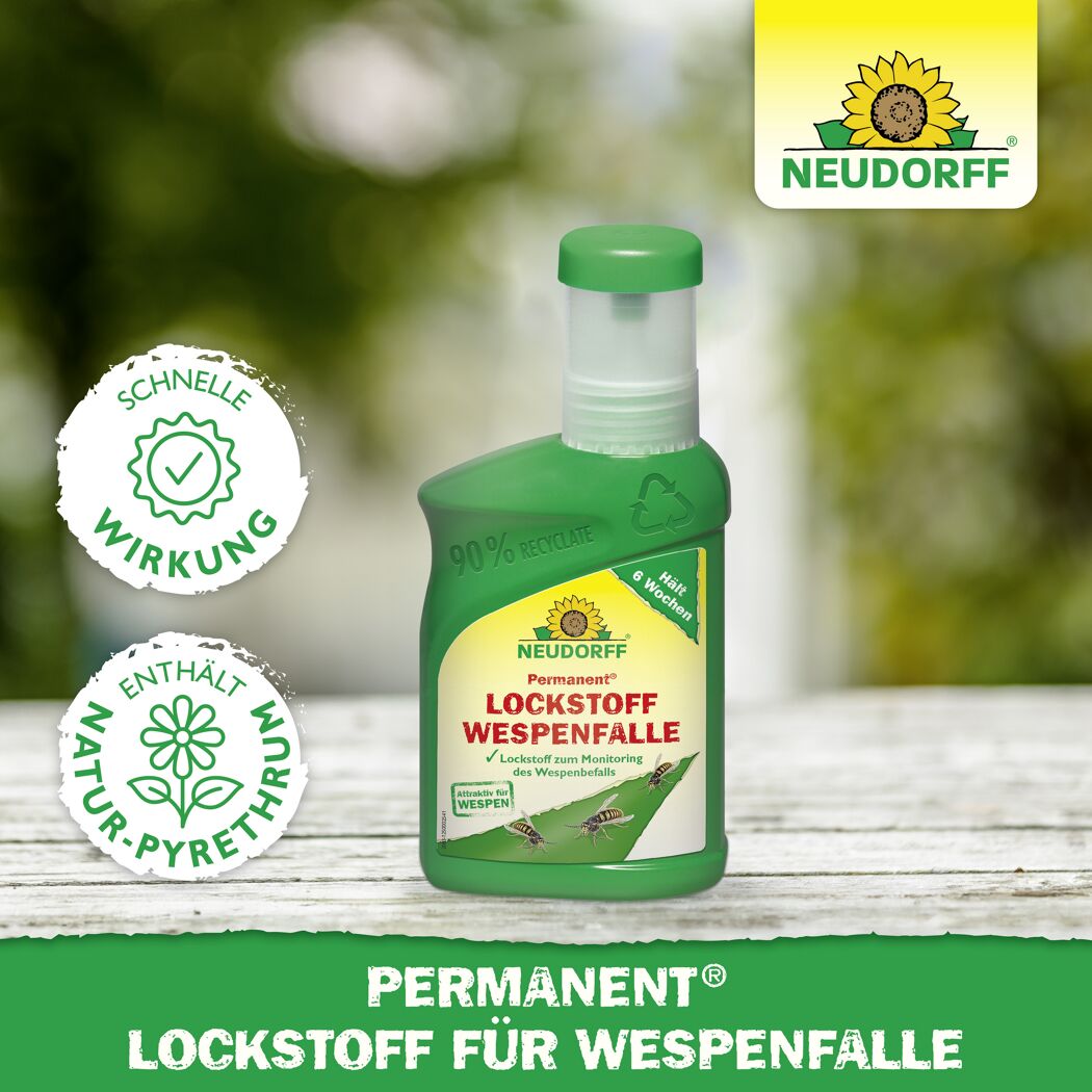 Permanent Lockstoff Wespenfalle 250 ml