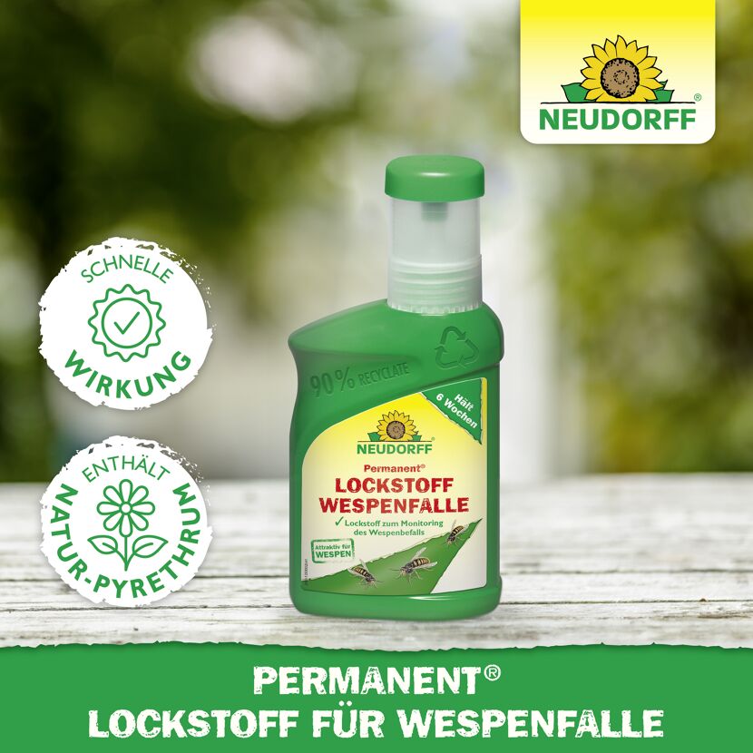 Permanent Lockstoff Wespenfalle 250 ml