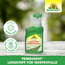 Permanent Lockstoff Wespenfalle 250 ml