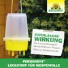 Permanent Lockstoff Wespenfalle 250 ml