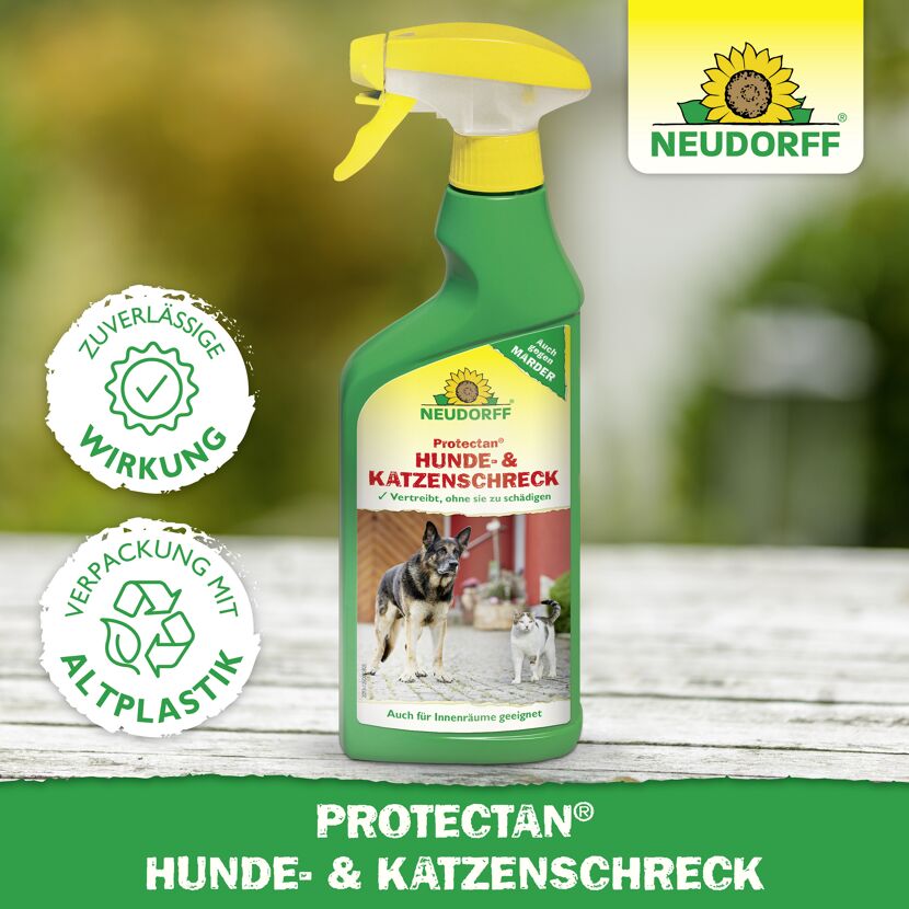 Protectan Hunde- und Katzenschreck 500 ml