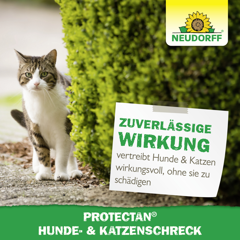 Protectan Hunde- und Katzenschreck 500 ml