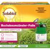 Buchsbaumzünsler-Falle zur Befallsermittlung