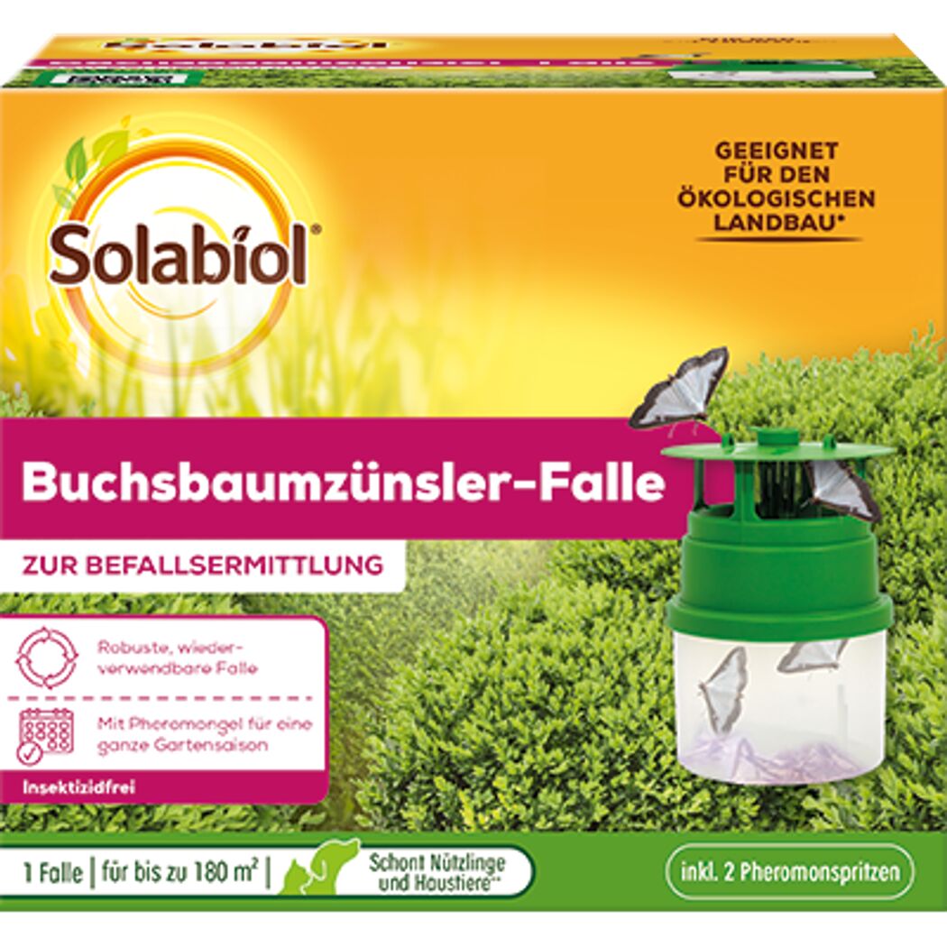 Buchsbaumzünsler-Falle zur Befallsermittlung