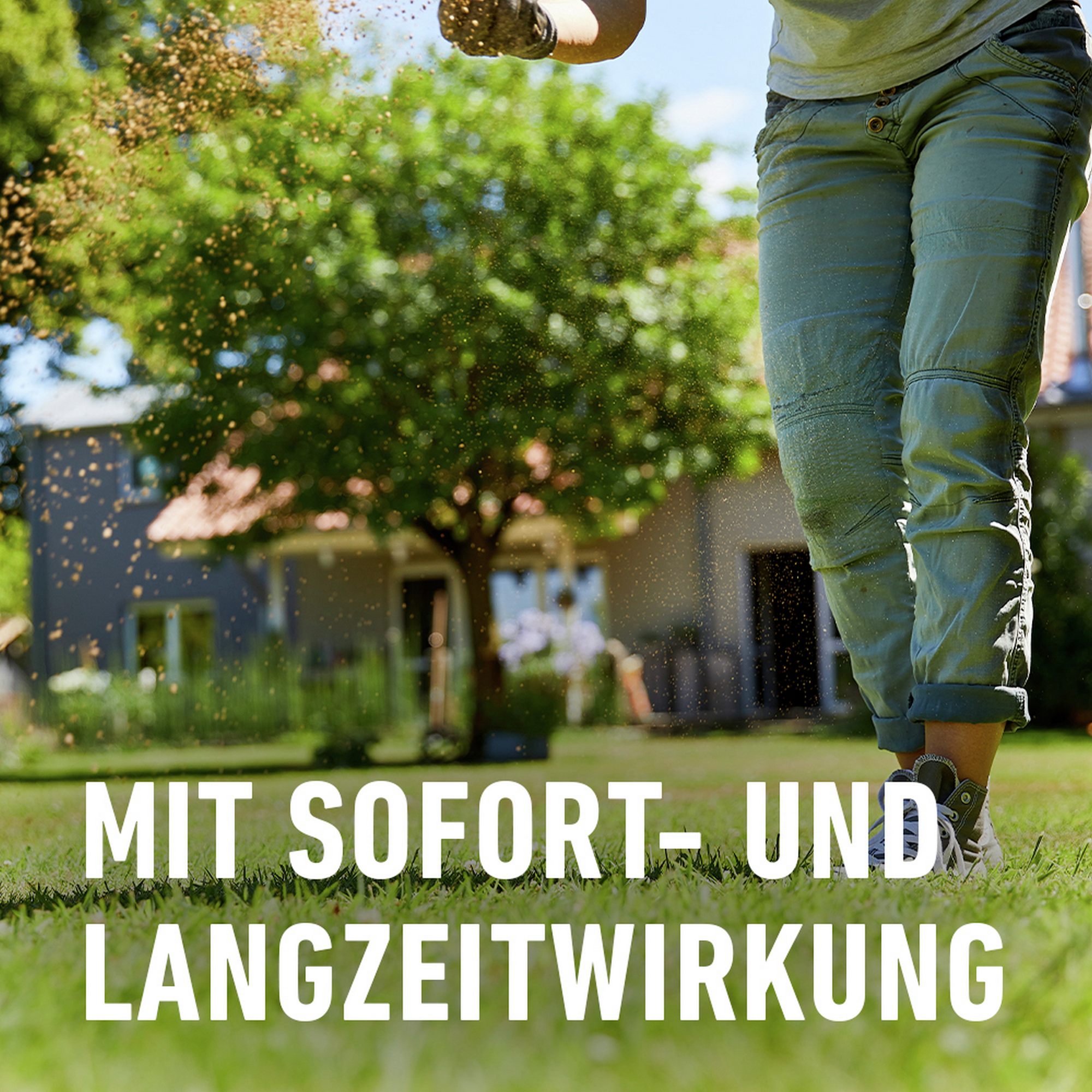 Bio-Rasendünger 3 kg für 75 m²