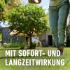 Bio-Rasendünger 3 kg für 75 m²