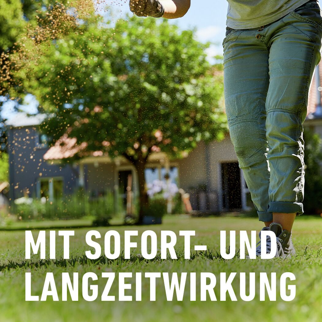 Bio-Rasendünger 3 kg für 75 m²