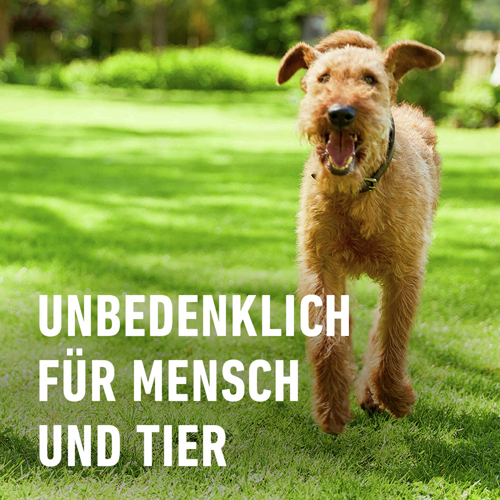 Bio-Rasendünger 3 kg für 75 m²