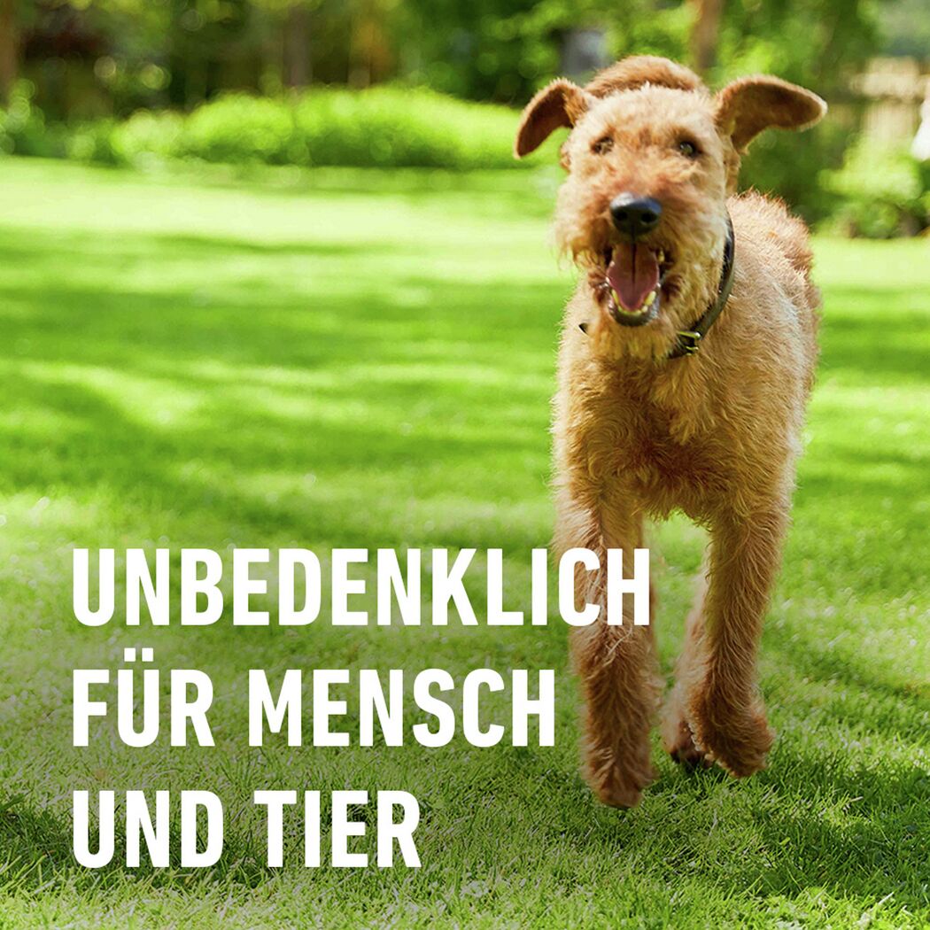 Bio-Rasendünger 3 kg für 75 m²