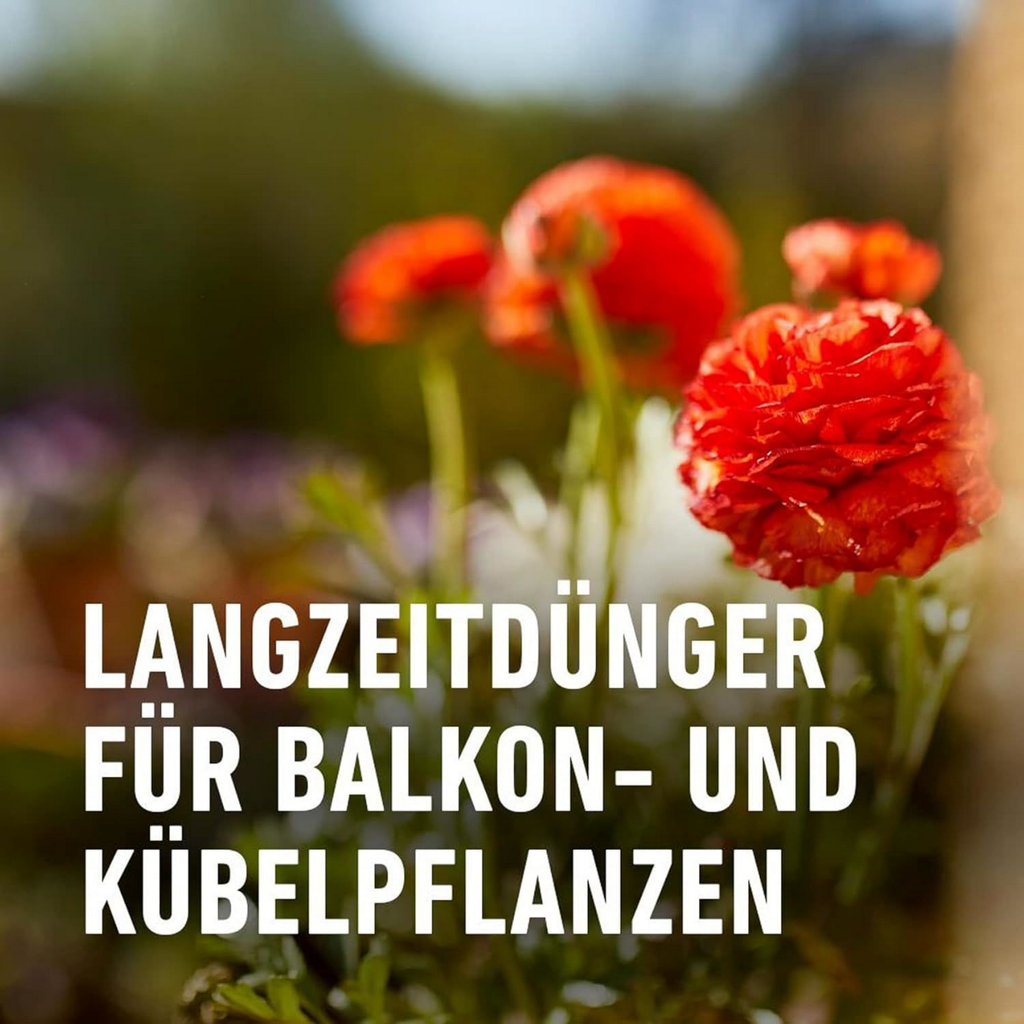 Balkon- und Kübelpflanzendünger 1,2 kg