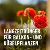 Balkon- und Kübelpflanzendünger 1,2 kg
