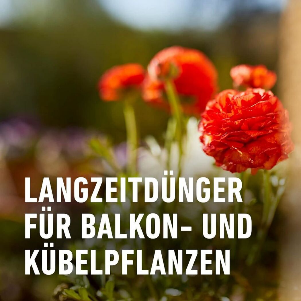 Balkon- und Kübelpflanzendünger 1,2 kg