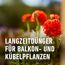Balkon- und Kübelpflanzendünger 1,2 kg