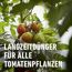 Tomaten Langzeitdünger 850 g