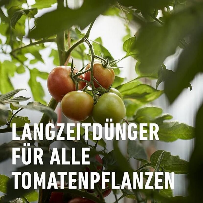 Tomaten Langzeitdünger 850 g