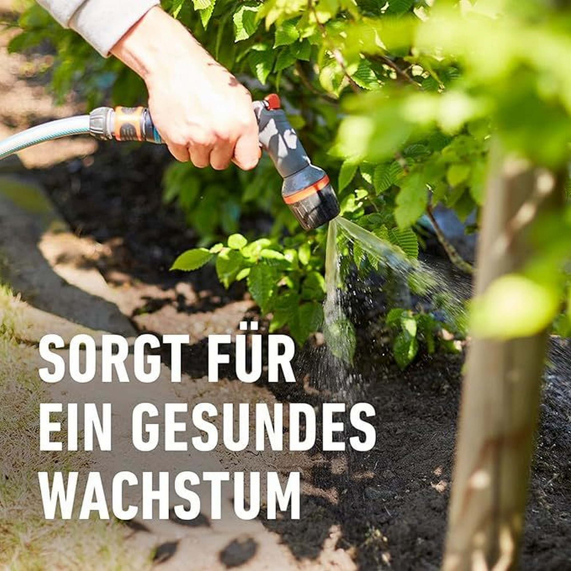 Langzeit-Dünger 2 kg