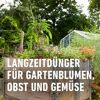 Garten Langzeitdünger 2 kg