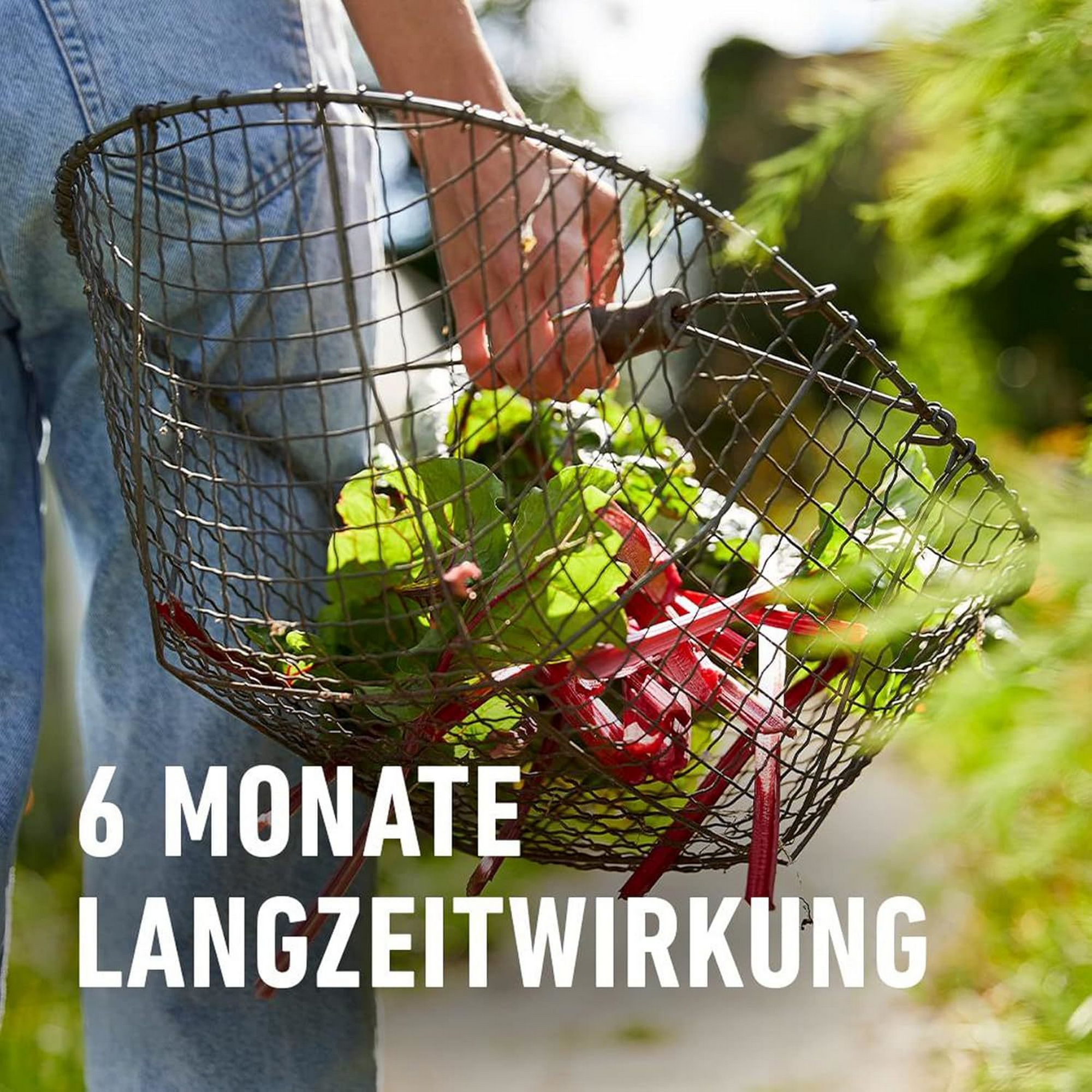 Garten Langzeitdünger 2 kg