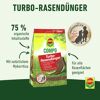 Turbo-Rasendünger 5 kg für 130 m²