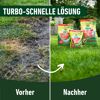 Turbo-Rasendünger 5 kg für 130 m²