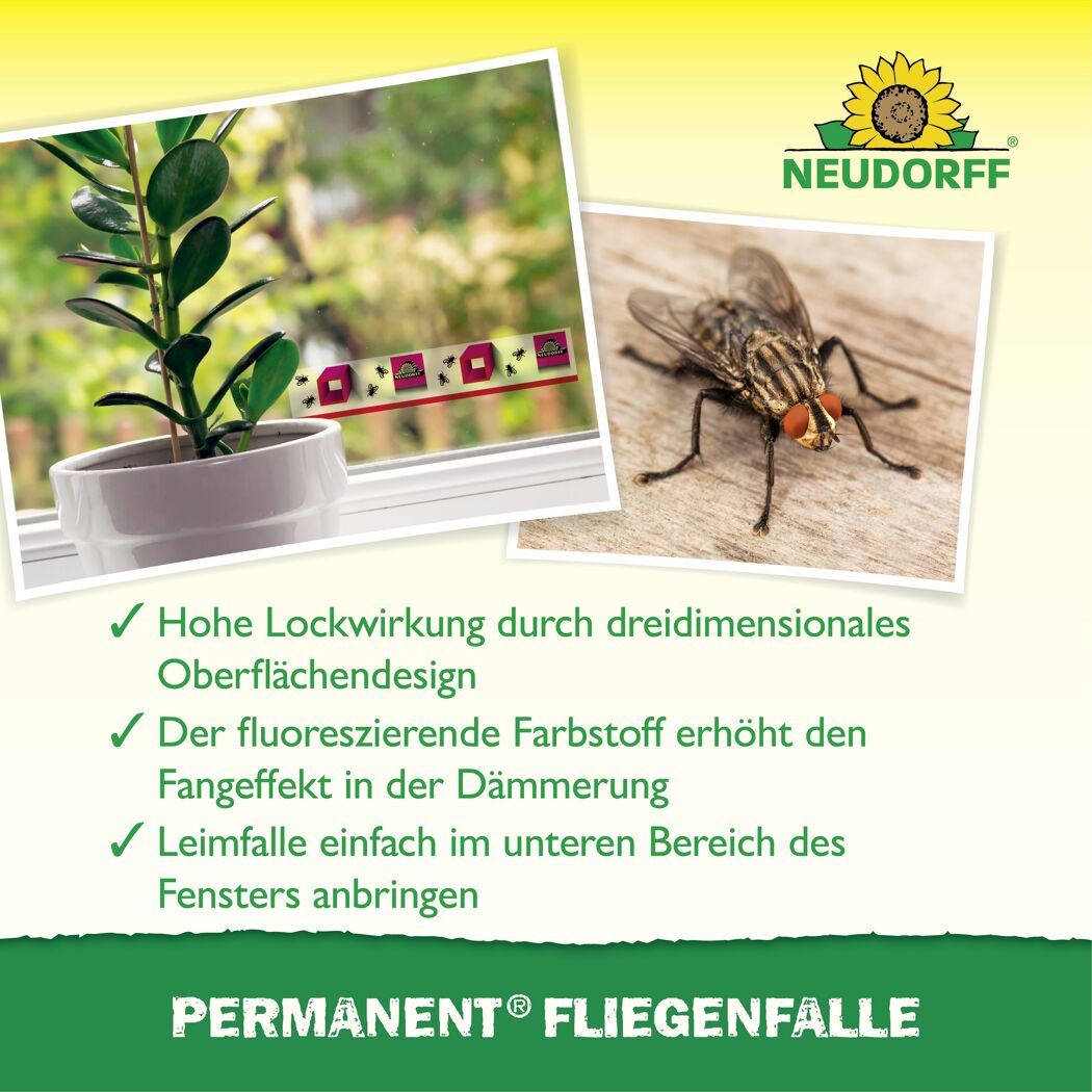 Fliegenfalle 'Permanent'