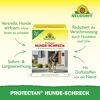 Hunde-Schreck 'Protectan'