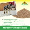 Hunde-Schreck 'Protectan'