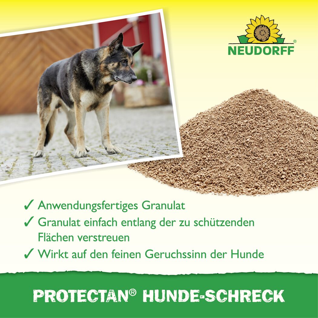 Hunde-Schreck 'Protectan'