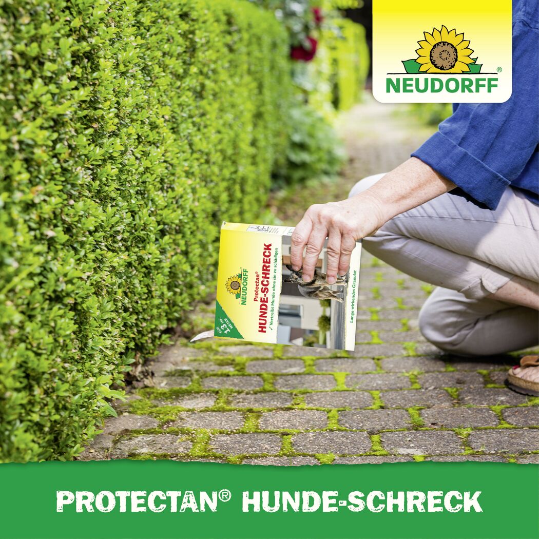 Hunde-Schreck 'Protectan'