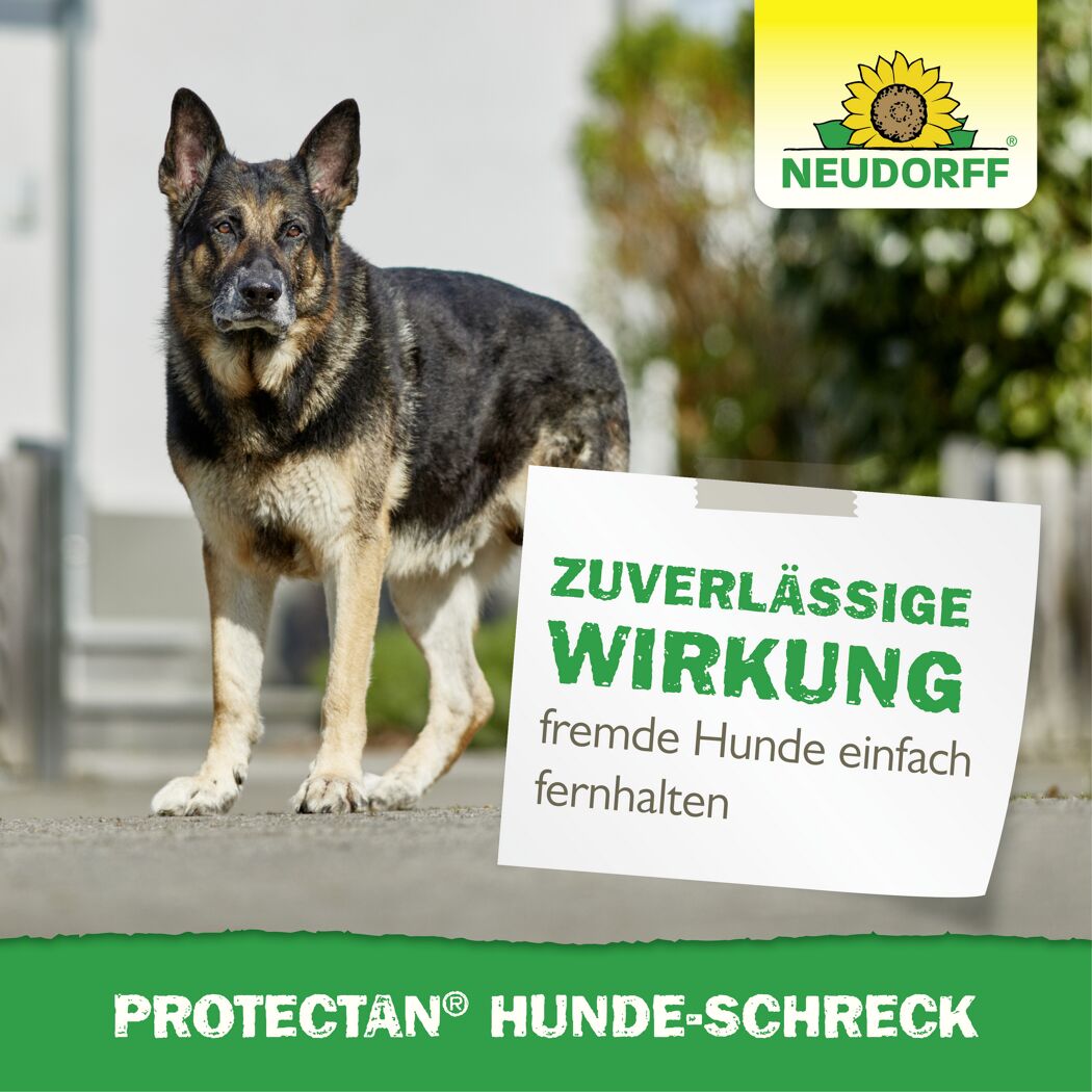 Hunde-Schreck 'Protectan'