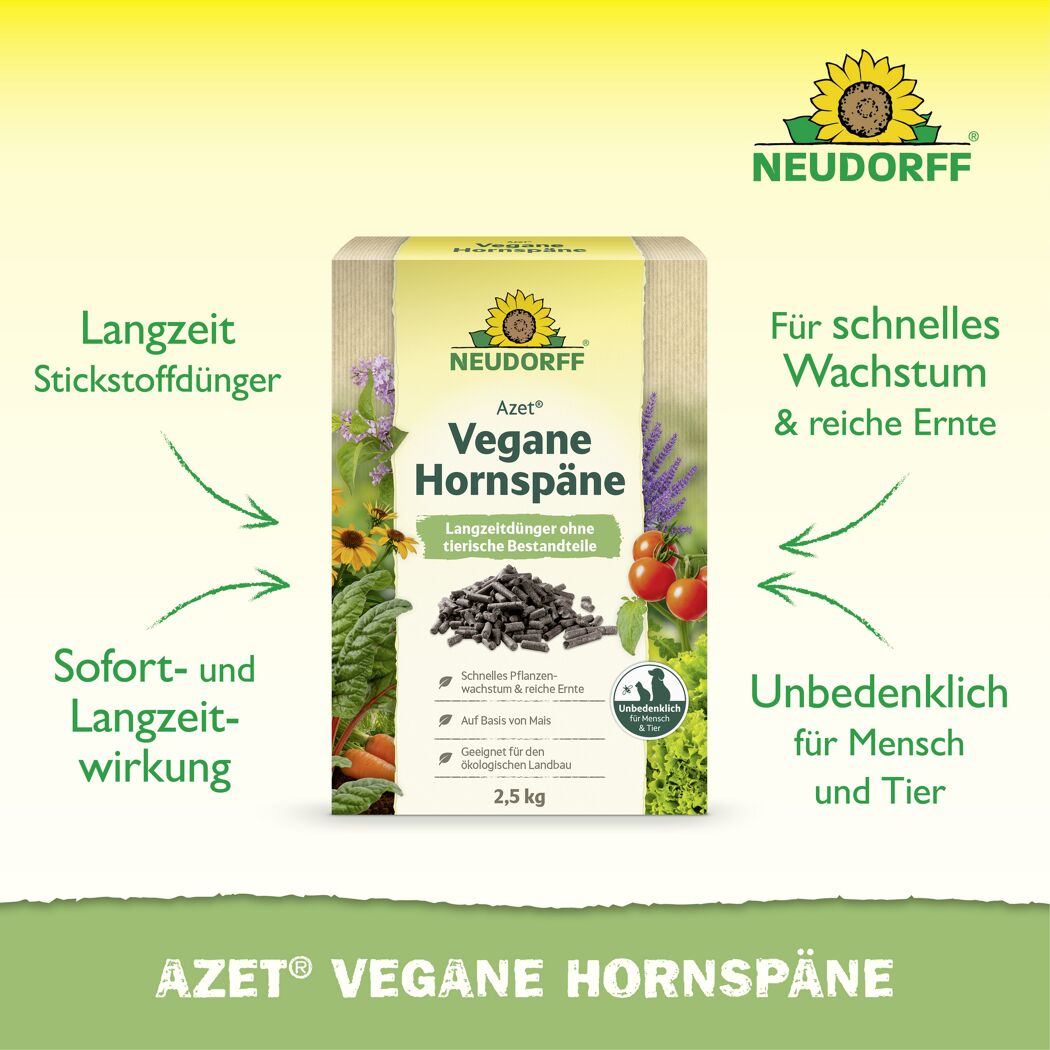 Hornspäne 'Azet'