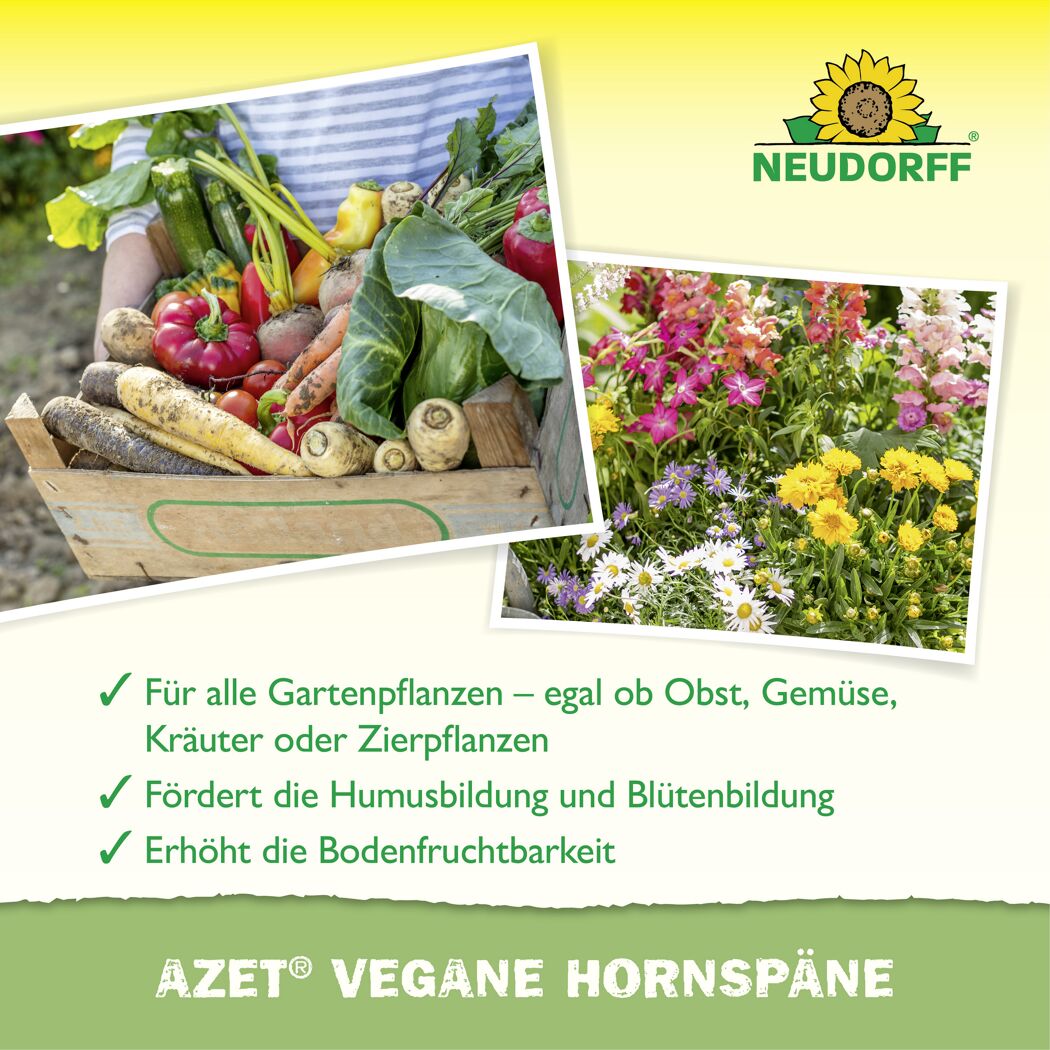 Hornspäne 'Azet'