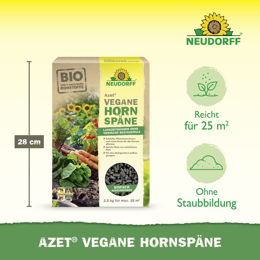 Hornspäne 'Azet'