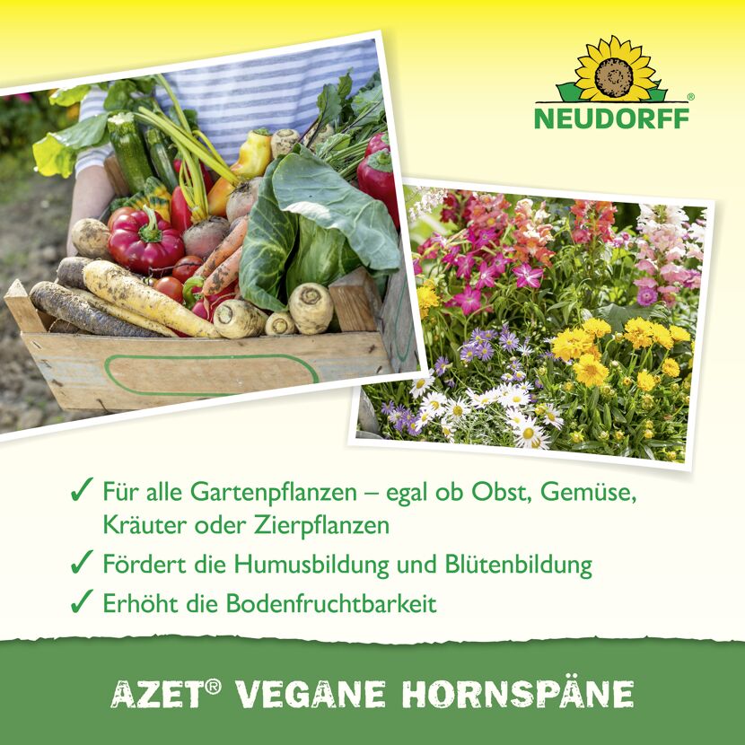 Hornspäne 'Azet'