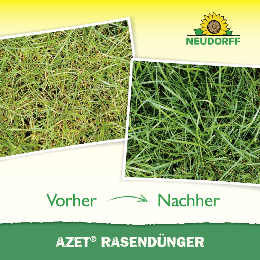 Rasendünger 'Azet' 10 kg