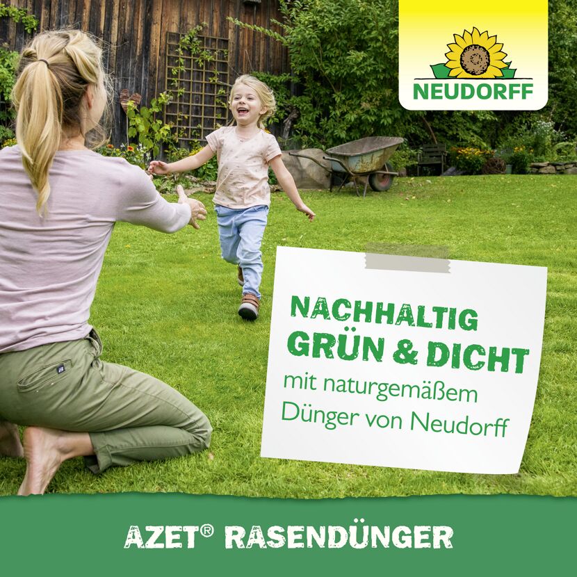 Rasendünger 'Azet' 10 kg