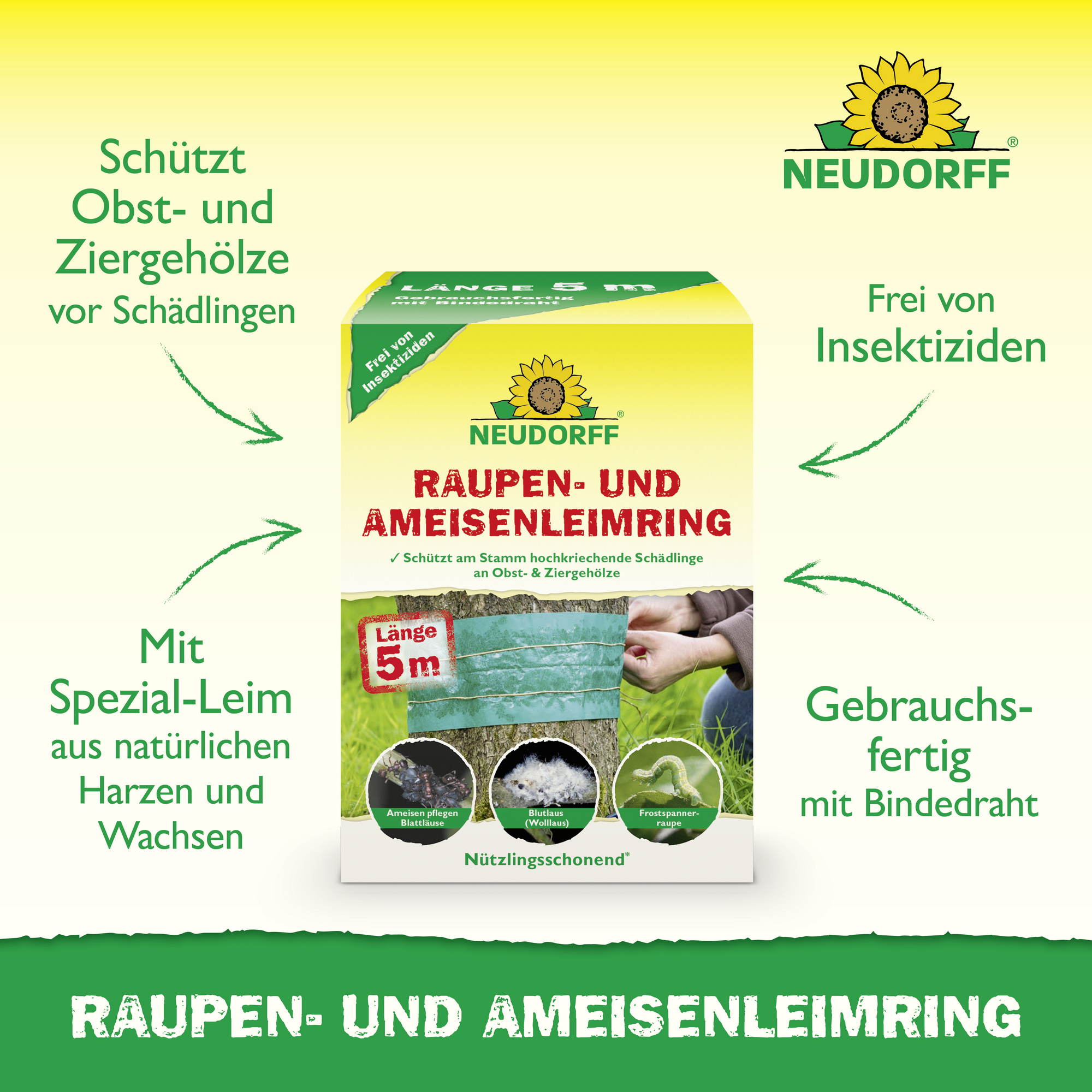 Leimring 5 m gegen Raupen und Ameisen