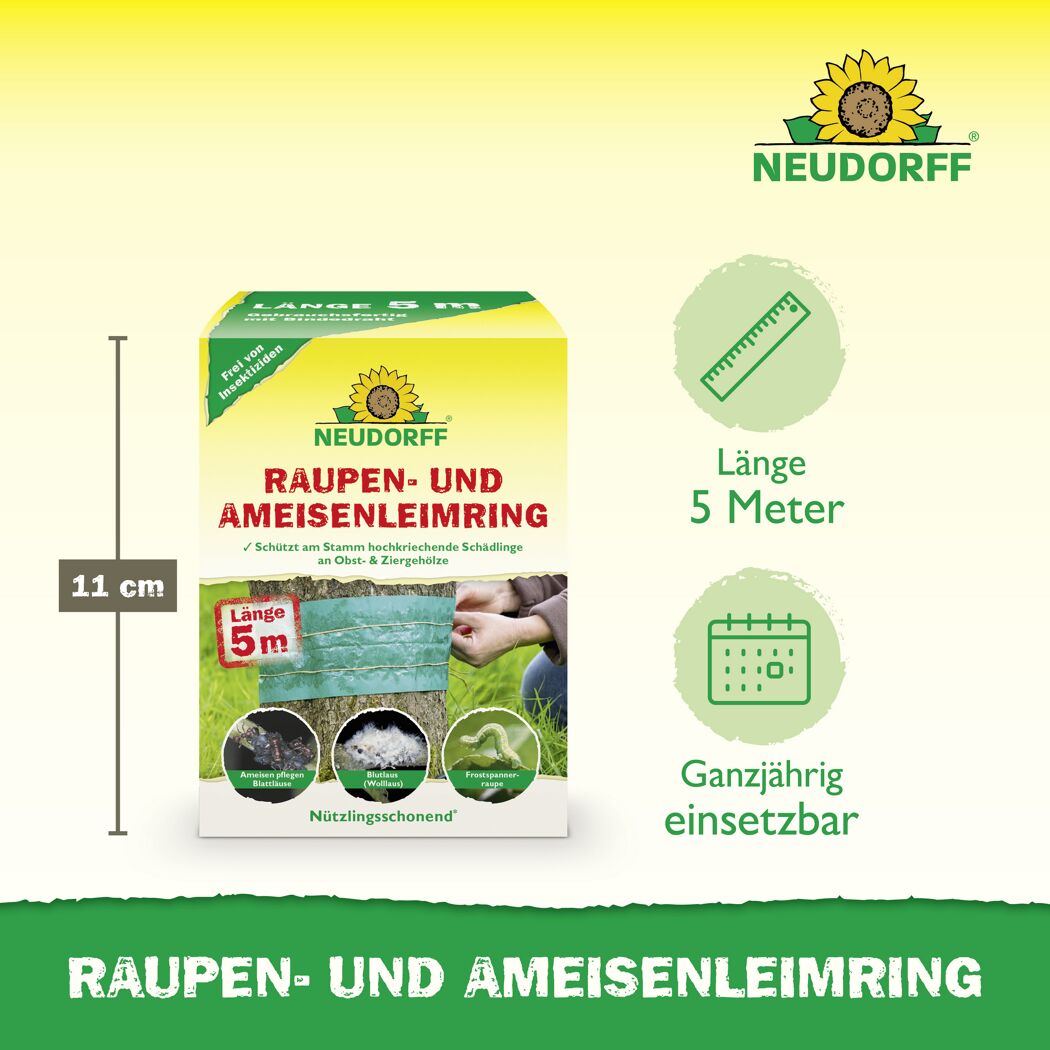 Leimring 5 m gegen Raupen und Ameisen