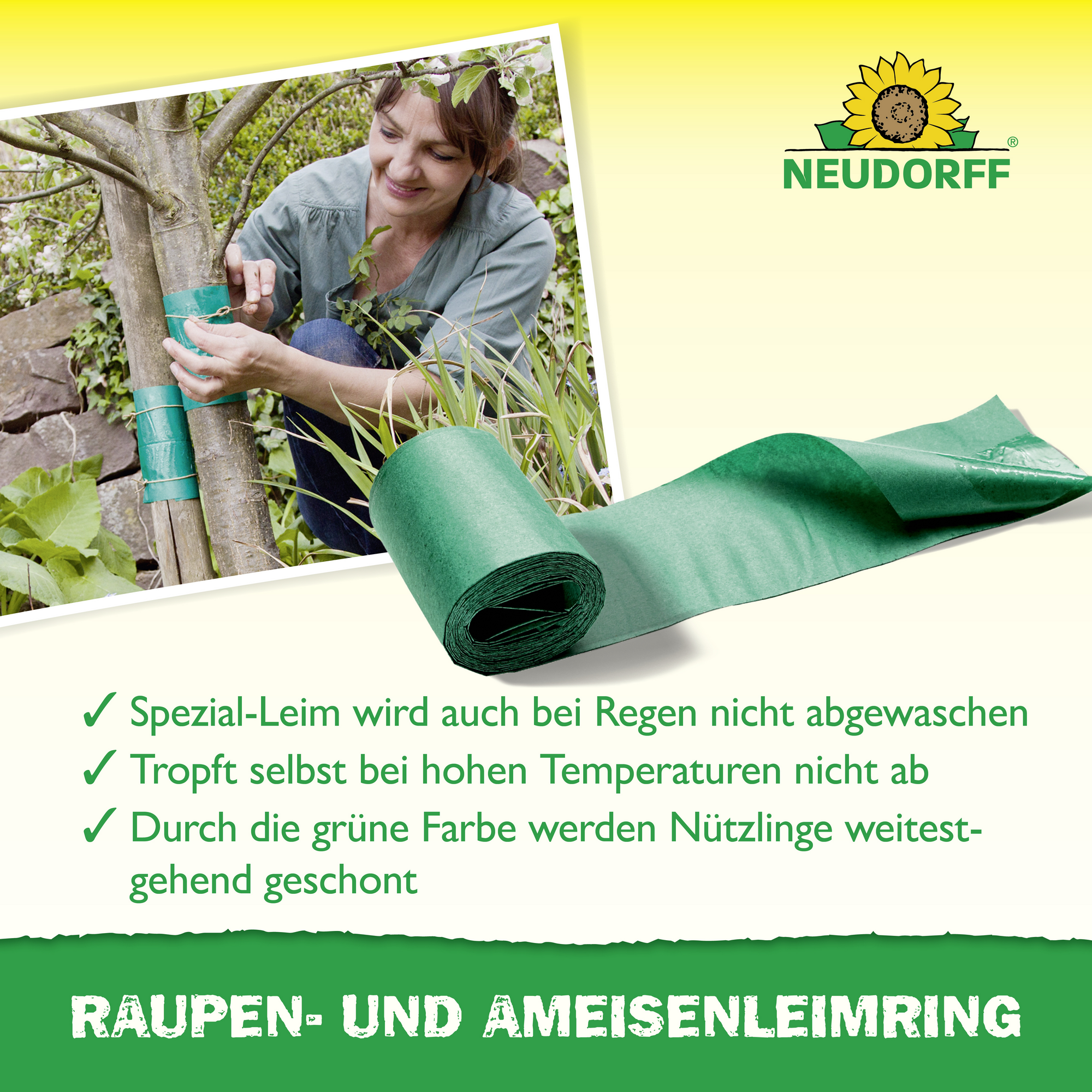 Leimring 5 m gegen Raupen und Ameisen