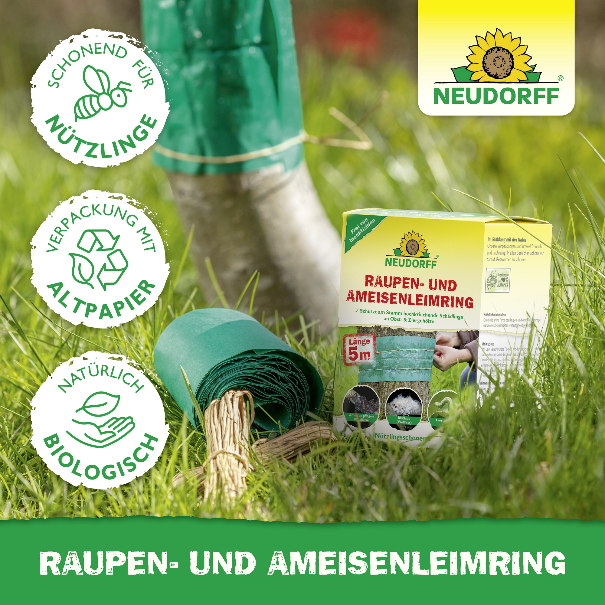 Leimring 5 m gegen Raupen und Ameisen