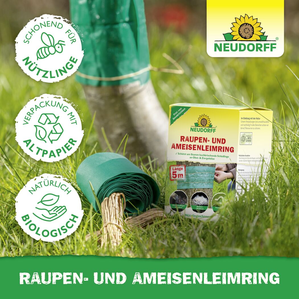 Leimring 5 m gegen Raupen und Ameisen