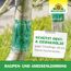 Leimring 5 m gegen Raupen und Ameisen