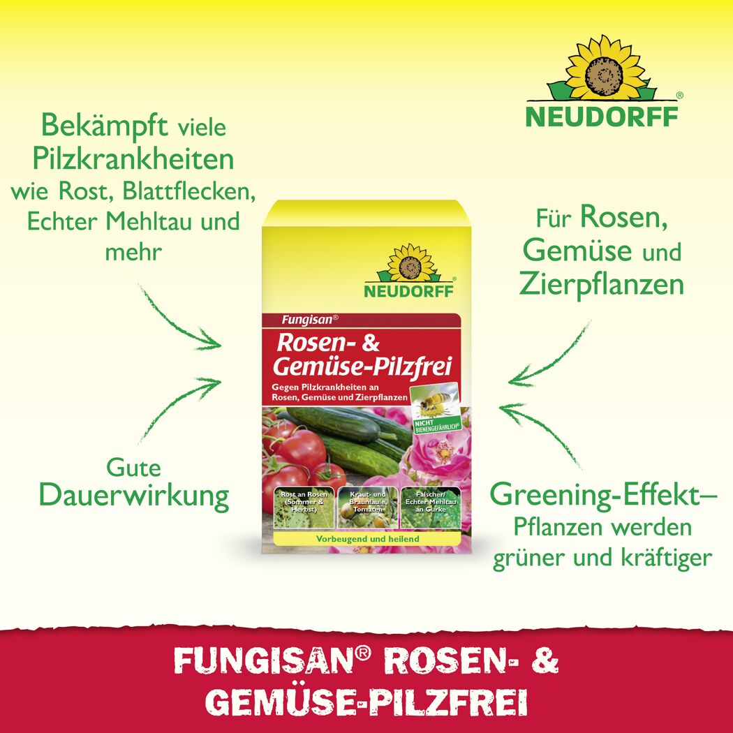 Fungisan Rosen- und Gemüse-Pilzfrei 16 ml